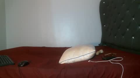 Snapshot of shiro254 chatting on February 17, 2026, 8:15 pm Shi-ro online show from February 17, 2026, 8:15 pm