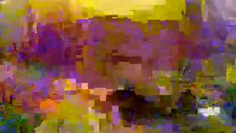 Snapshot of slip_inslide chatting on March 9, 2025, 6:11 pm slip_inslide online show from March 9, 2025, 6:11 pm