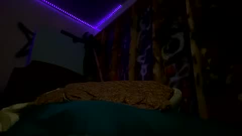 sohan730903 online show from February 15, 2026, 7:51 am