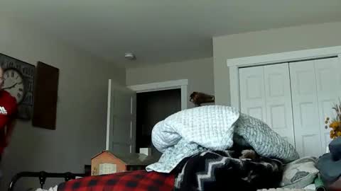 sportfish online show from February 21, 2026, 10:33 pm