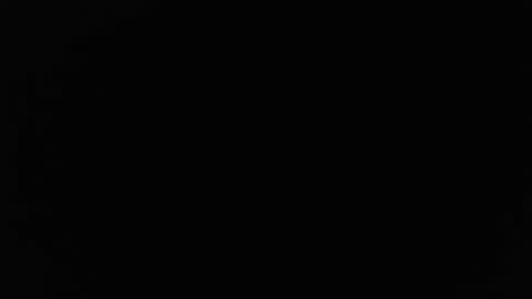 Stew Pididiot online show from October 2, 2025, 12:39 am