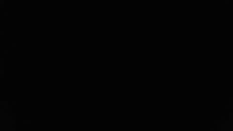 Stew Pididiot online show from February 11, 2026, 9:09 pm