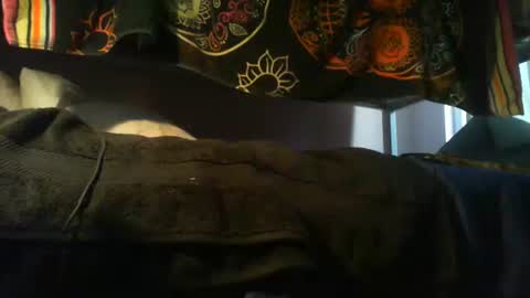 Snapshot of strokensmoke420 chatting on November 10, 2025, 9:47 pm strokensmoke420 online show from November 10, 2025, 9:47 pm