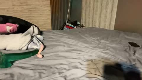 Snapshot of supremelifers chatting on January 8, 2026, 7:16 pm Stony online show from January 8, 2026, 7:16 pm