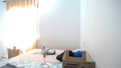 Snapshot of susanaduncann chatting on January 23, 2025, 4:59 pm Susana online show from January 23, 2025, 4:59 pm