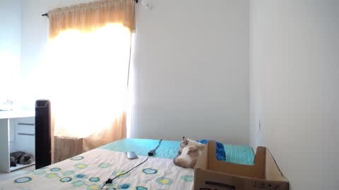 Snapshot of susanaduncann chatting on February 9, 2025, 6:37 pm Susana online show from February 9, 2025, 6:37 pm