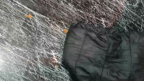 - allen online show from November 8, 2025, 7:52 am