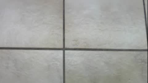 teninchheels online show from December 22, 2024, 1:00 pm