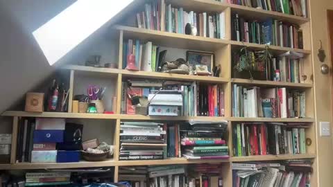 Terra Worship Findomme online show from March 3, 2025, 6:01 pm