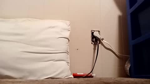 thatb1 online show from December 16, 2025, 4:50 am