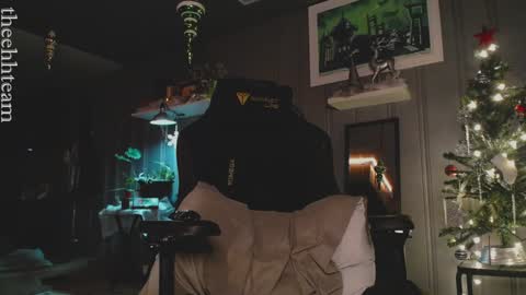 Snapshot of theehhteam chatting on December 30, 2024, 3:14 am H online show from December 30, 2024, 3:14 am