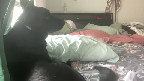 Snapshot of throatyygoat chatting on September 21, 2025, 6:53 pm throatyygoat online show from September 21, 2025, 6:53 pm