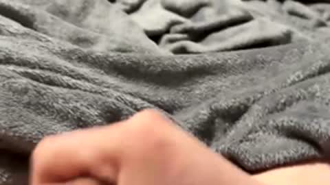 Snapshot of tmue chatting on February 15, 2026, 2:58 pm tmue online show from February 15, 2026, 2:58 pm