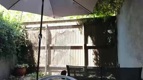 Snapshot of topsywilde chatting on February 14, 2026, 10:12 am Topsy online show from February 14, 2026, 10:12 am