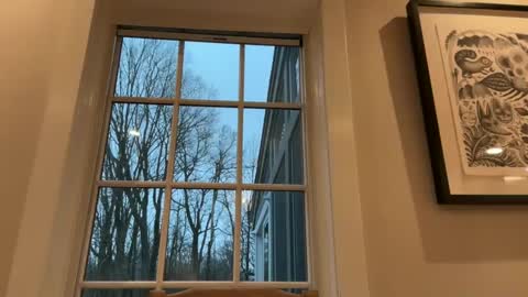 treborinthesky online show from February 2, 2025, 9:56 pm