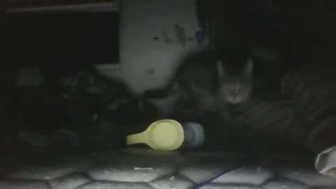 Snapshot of twonkydonk27 chatting on December 13, 2025, 10:15 pm twonkydonk27 online show from December 13, 2025, 10:15 pm