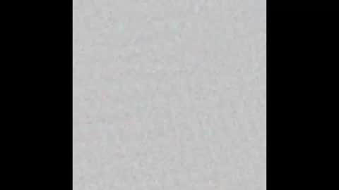 un_chat_de_rue online show from October 27, 2025, 11:14 am