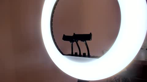 Johovanna online show from January 31, 2025, 2:49 pm