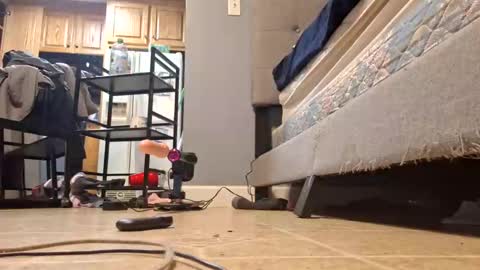 Snapshot of vixsc chatting on February 14, 2025, 7:28 am Vix online show from February 14, 2025, 7:28 am