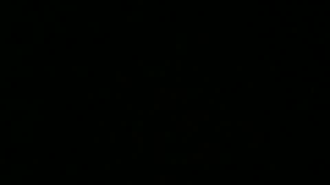 Snapshot of weeskank chatting on October 5, 2025, 6:17 pm weeskank online show from October 5, 2025, 6:17 pm