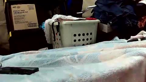 Ryder Harder online show from October 20, 2025, 12:16 pm