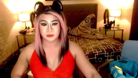 Snapshot of wildtransjhade chatting on January 6, 2025, 9:30 am wildtransjhade online show from January 6, 2025, 9:30 am