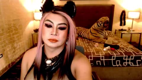 Snapshot of wildtransjhade chatting on January 16, 2025, 12:53 pm wildtransjhade online show from January 16, 2025, 12:53 pm