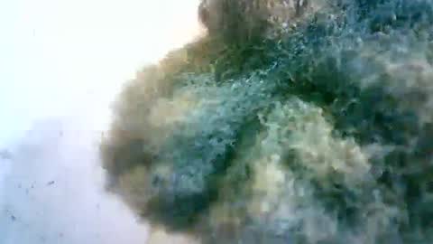 Snapshot of xenna610827 chatting on February 20, 2025, 6:50 am xenna610827 online show from February 20, 2025, 6:50 am