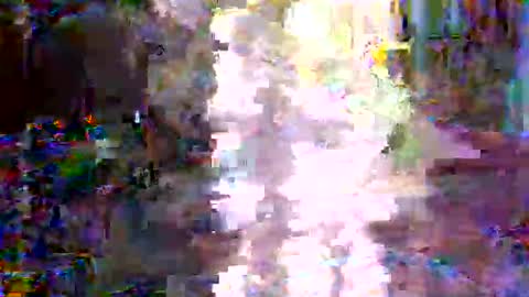 xixo6969 online show from February 3, 2026, 2:53 am