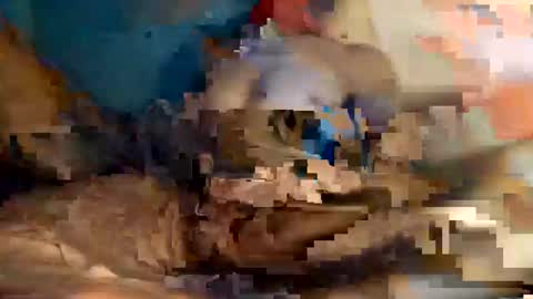 Snapshot of xxxdarknagician81 chatting on September 21, 2025, 3:13 pm xxxdarknagician81 online show from September 21, 2025, 3:13 pm