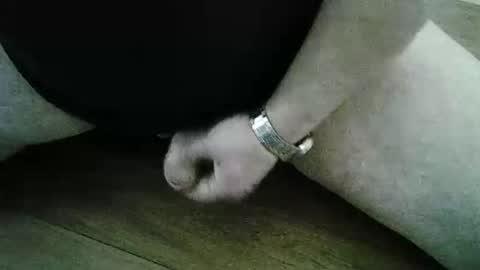 xyjjmop online show from March 2, 2026, 6:47 am