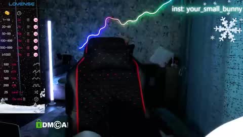 Snapshot of your_small_bunny chatting on February 2, 2026, 2:10 am Molly online show from February 2, 2026, 2:10 am