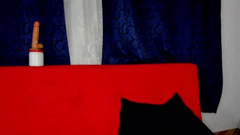 YURI AND MI BOY online show from February 8, 2025, 6:22 am