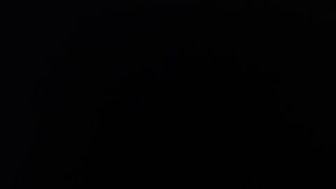 Snapshot of zamara_latam chatting on December 4, 2024, 12:47 pm KAAL online show from December 4, 2024, 12:47 pm