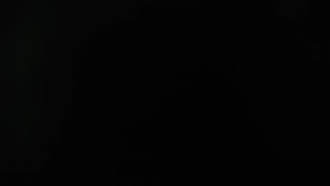 Snapshot of zamara_latam chatting on December 5, 2024, 12:55 pm KAAL online show from December 5, 2024, 12:55 pm