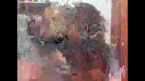 Snapshot of zatiro992 chatting on February 14, 2026, 7:49 am Zatth online show from February 14, 2026, 7:49 am