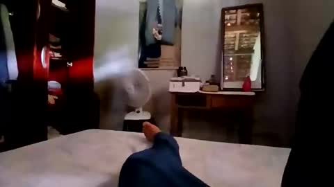 Snapshot of zitojose73 chatting on November 4, 2025, 5:12 pm zitojose73 online show from November 4, 2025, 5:12 pm