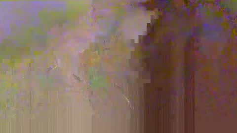 Snapshot of zobrythickock chatting on October 29, 2025, 5:25 pm zobrythickock online show from October 29, 2025, 5:25 pm