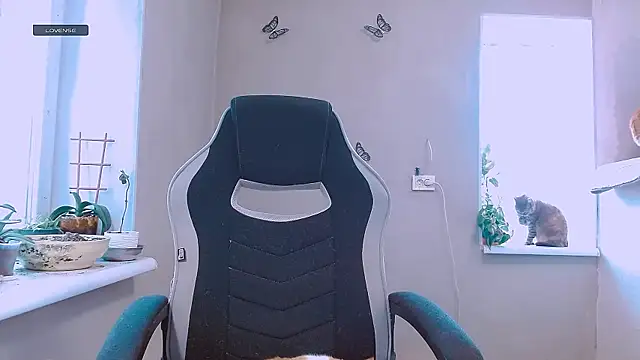 RosaJil online show from February 11, 2026, 12:32 pm