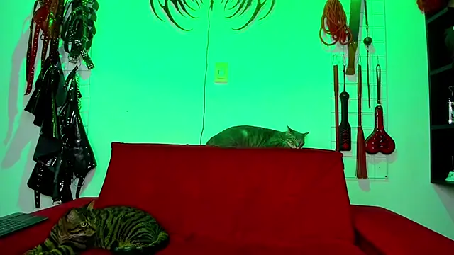 Snapshot of irregular_fetish_ chatting on February 26, 2026, 7:46 pm irregular fetish online show from February 26, 2026, 7:46 pm