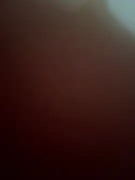 Snapshot of Gvngdvbbs chatting on March 1, 2026, 4:03 am Gvngdvbbs online show from March 1, 2026, 4:03 am