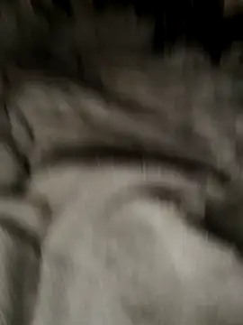 Tigerhill2023 online show from October 27, 2025, 9:13 am