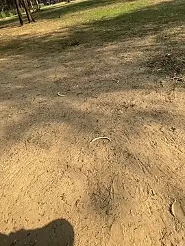 Cum on your tityyy online show from January 13, 2026, 9:03 am