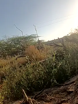 Snapshot of lovesuna chatting on March 5, 2025, 2:25 am lovesuna online show from March 5, 2025, 2:25 am