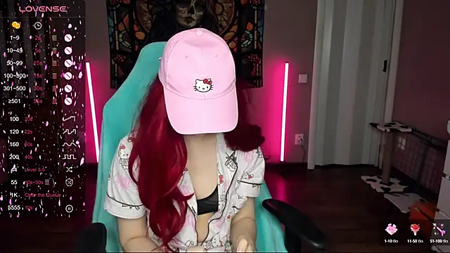 Project hisoka online show from March 3, 2025, 1:53 pm