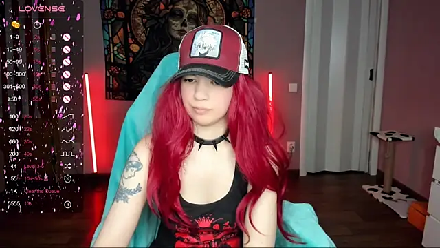 Project hisoka online show from March 17, 2025, 10:49 am