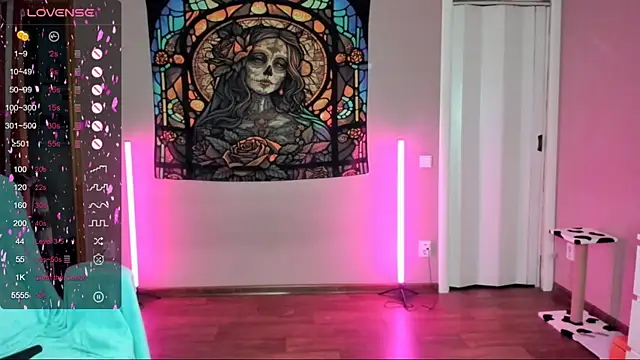 Project hisoka online show from March 22, 2025, 2:25 pm