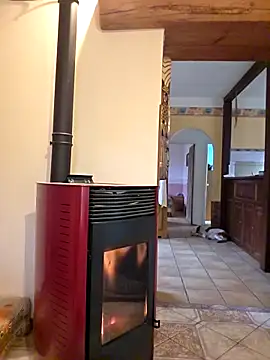 SpiceLea online show from March 3, 2026, 8:31 am