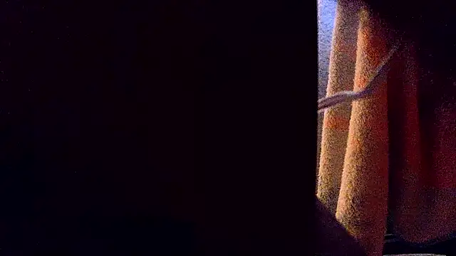 Nightlifecouple247 online show from November 27, 2025, 5:20 am