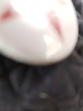 Snapshot of taaylor33 chatting on February 27, 2026, 8:20 pm taaylor33 online show from February 27, 2026, 8:20 pm